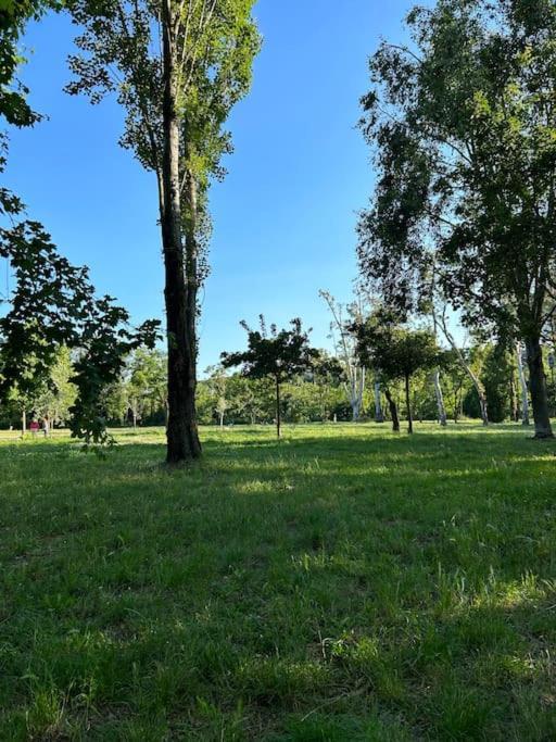 Appartamento Domus La Conca Roma Esterno foto